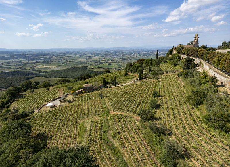 DJI_0181_web
